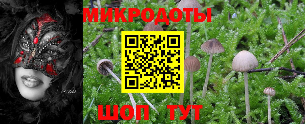 Псилоцибиновые грибы MAGIC MUSHROOMS  Вход с VPN  Вичуга 
